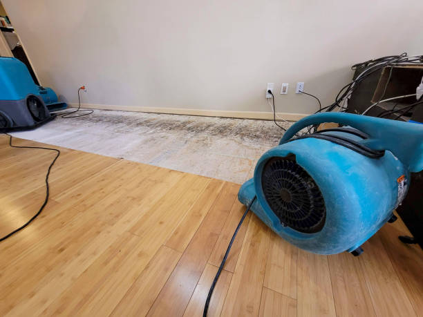 Professional Flood Damage Cleanup technician working in Newfield, NJ